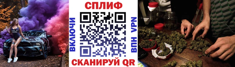 Шишки марихуана сатива  Купить закладки  Шелехов 